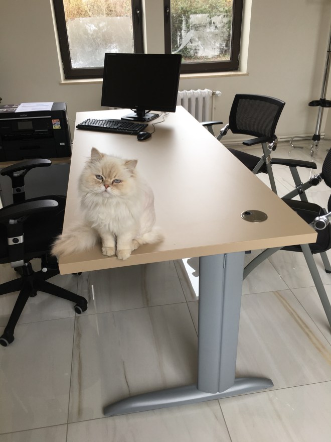 Photo 4-04-18 12 47 11